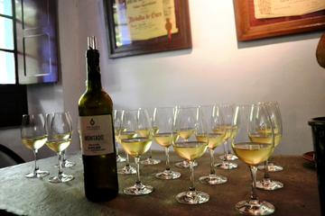 Setubal Peninsula Wine Tour - Sesimbra Azeitao and Arrabida Private Tour
