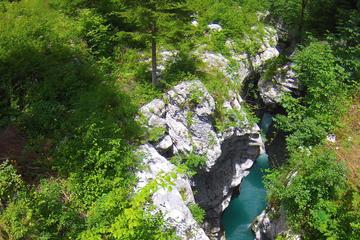 Adventure Trip: Kranjska Gora, Bovec, Bohinj from Bled