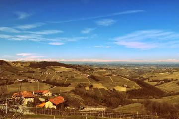 Piedmont Wine Tasting and Cellar Tour from Turin