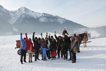 Horse Carriage Tour and Picnic with Local Family in Zdiar from Poprad