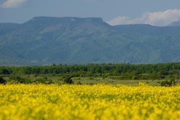 Full-Day Hiking Tour from Targu Mures