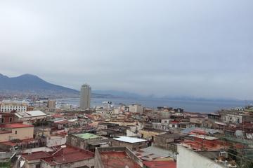 Private Naples Shore Excursion with Pompeii tickets included