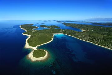 Full Day Private Sailing Cruise Including Basic Sailing Course