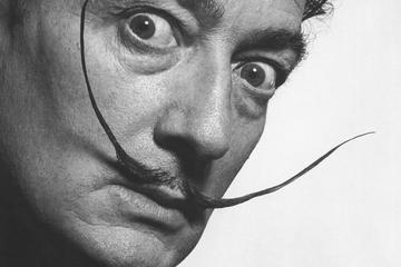 Dalí 2 Museums, Figueres and House of Portlligat