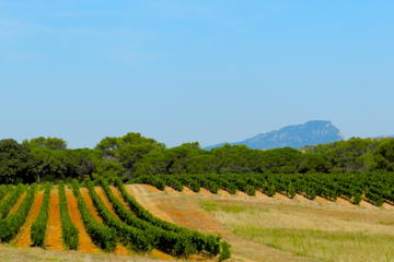 Small-Group Half-Day Languedoc Pic Saint-Loup Wine Tour from Montpellier