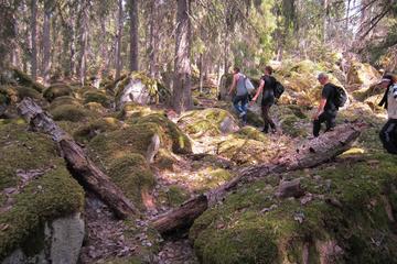 Overnight Hike Outside Stockholm
