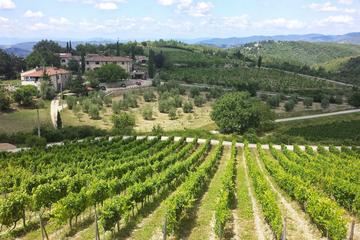 Private Tour: Chianti Region Tour by Minivan