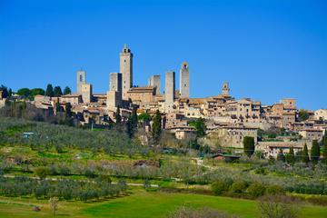 Private Tuscany Day Tour: San Gimignano and Chianti Wine Region from Florence