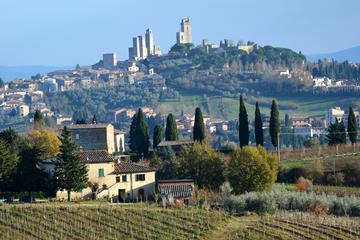 Private Tuscany Day Tour: San Gimignano and Chianti Wine Region from Florence