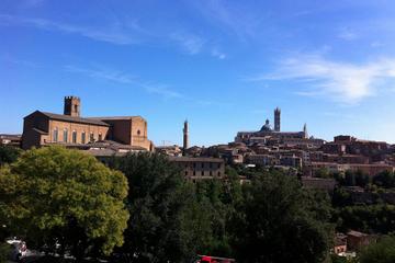 Private Tuscany Drive Excursion: Siena and San Gimignano Day Trip from Florence