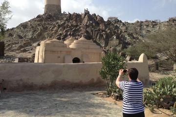 from Dubai : Private Full Day East Coast Tour