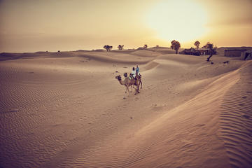 Private Camel Desert Safari Experience in Dubai