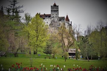 Private Tour: Bran Castle and Rasnov fortress from Sibiu