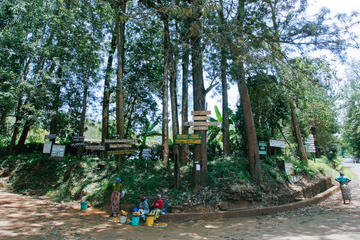 A 6-Day Excursion to Mount Kilimanjaro via the Marangu Route