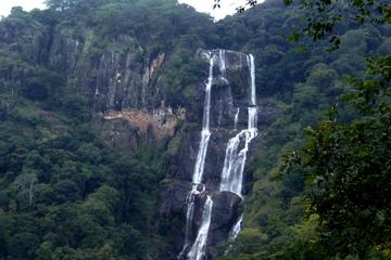 Mikumi and Udzungwa Wild Animal and Adventure Guided Tour