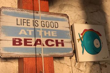 Magical Hvar beaches by speedboat