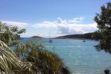 Pakleni Islands Private Speedboat Cruise from Hvar