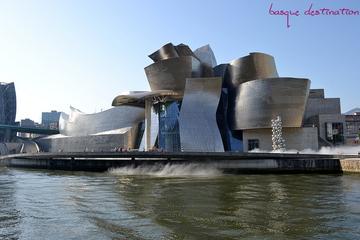 Bilbao Day Trip with Guggenheim Visit from San Sebastian