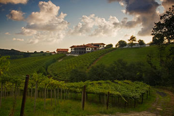Day tour to Rioja Alavesa Wine Region from Bilbao