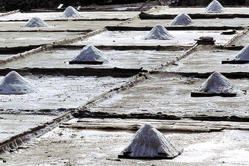 Discover Añana Salt Valley and Vitoria from Bilbao