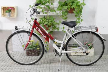 Rent city bike Seville