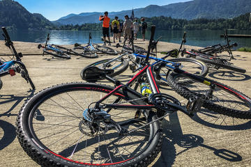 Top of Bled Bike Adventure