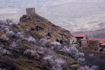 Full-Day Private Tour to David Gareja Complex from Tbilisi