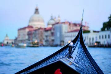 One Day Boat Trip to Venice from Rovinj