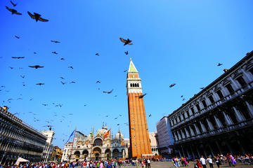 Venice Day Trip by High-Speed Catamaran from Pula