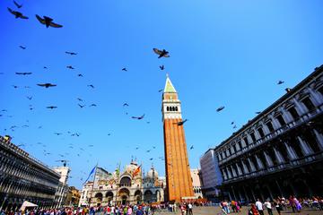 Venice Day Trip from Porec via High-Speed Boat