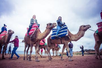 Full-Day Tour: Tangier from Seville