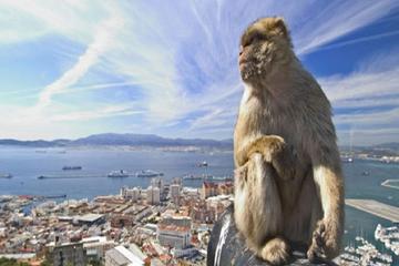 Gibraltar Full Day Tour from Seville