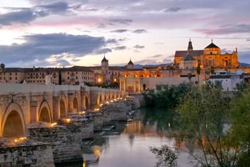 Private Cordoba City Tour from Seville