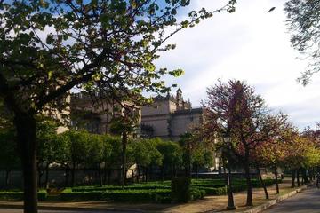 Private walking tour in Seville city center