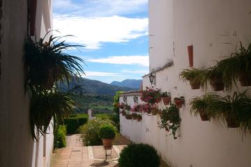 Private White Villages Guided Day Tour from Seville