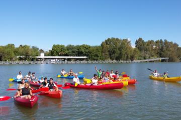 Sevilla 3-Hour Kayaking Tour on the Guadalquivir River