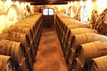 Transfer from Seville to Jerez
