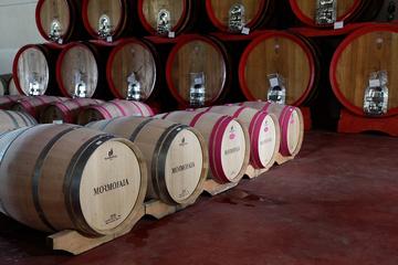 Small Group Tour: Tuscany Wine Tour Siena and San Gimignano - Full Day Tour from Rome - Tasting and lunch included