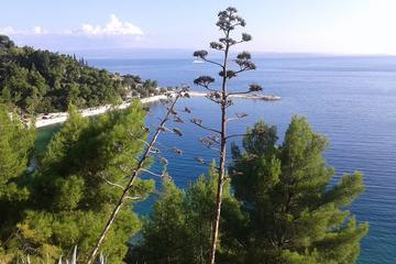 Small-Group Split City Bike Tour with Beach Visit