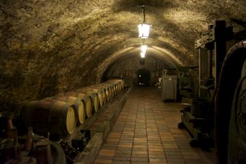 Wine Tasting Day Trip from Prague to Melnik