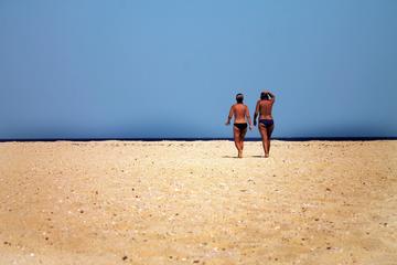Abu Dabbab snorkeling day trip