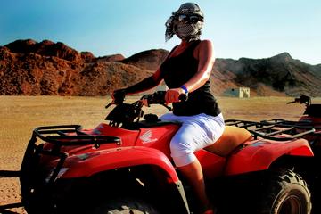 Quad Bike Trip