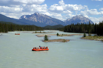 Day Trip Athabasca River Scenic Float Trip near Jasper, Canada 
