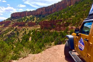 Gold Belt Scenic Byway Jeep Tour from Cañon City