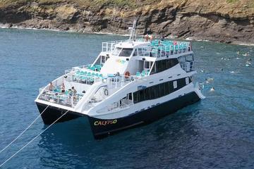 Molokini Snorkeling Adventure Aboard the Calypso