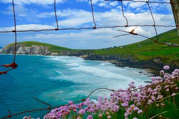 Luxury Photography Day Tour on Dingle Peninsula - Fully Guided and Chauffeured