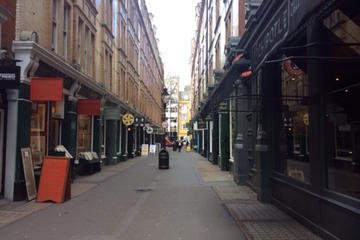 Private 3-hour Harry Potter Walking Tour of London