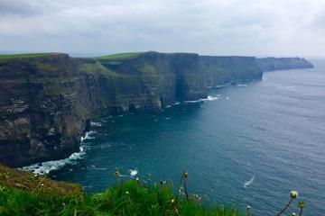 Cliffs of Moher, Coast of County Clare and The Burren Day Tour from Galway