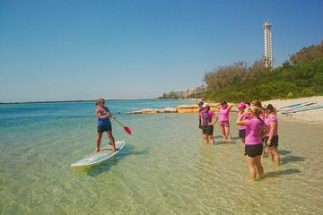 Golden Beach 1-Hour Stand-Up Paddleboard Hire on the Sunshine Coast