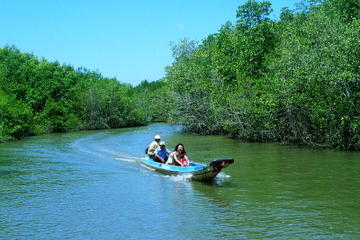 Can Gio Mangrove and Monkey Island Adventure Tour from Ho Chi Minh City